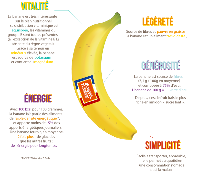 INFOGRAPHIE HEALTHY